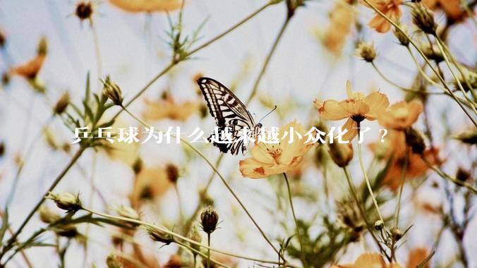 乒乓球为什么越来越小众化了?